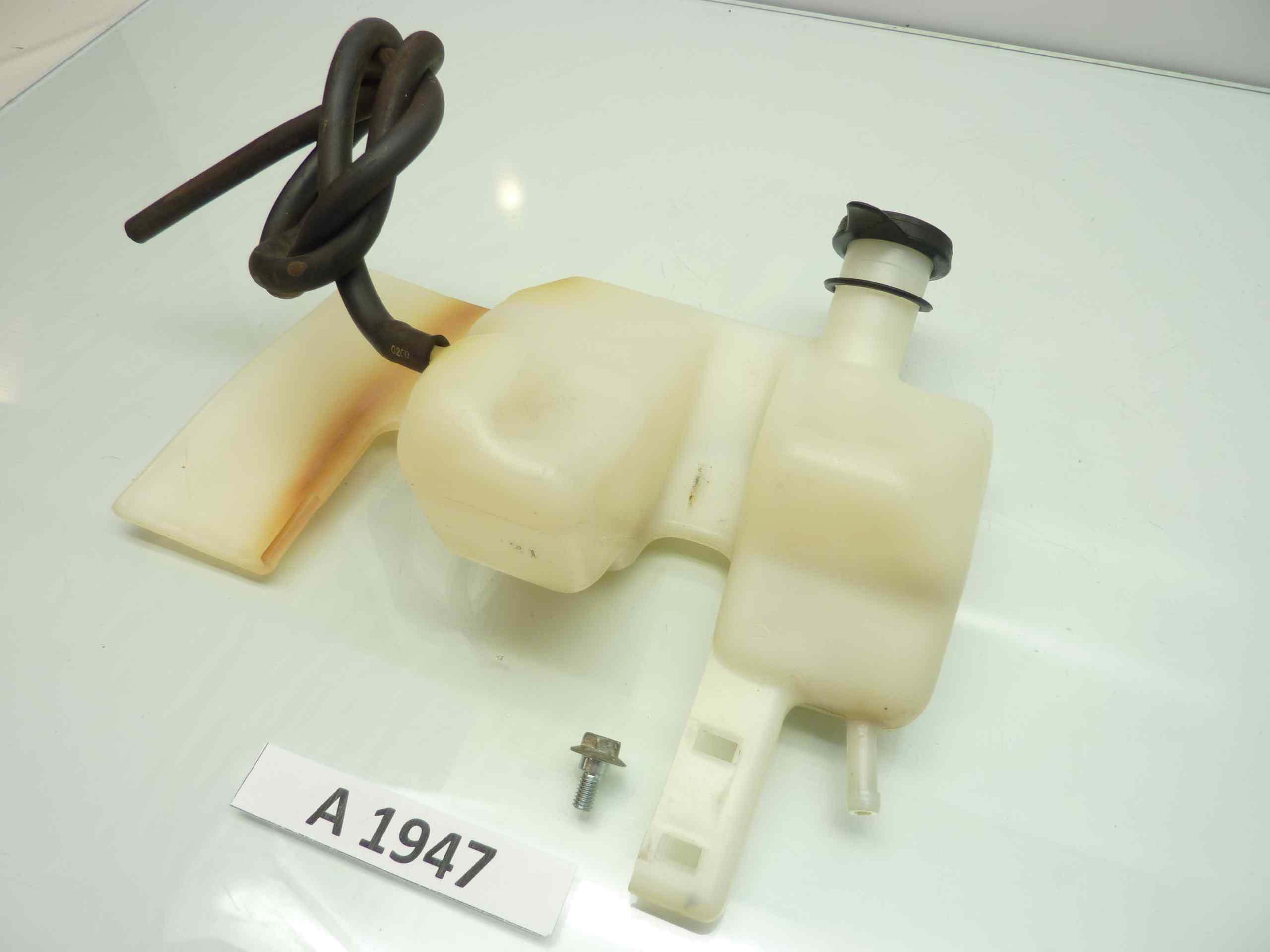 Honda Hornet 600 S 02-04 vaschetta liquido raffreddamento vaso espansione - immagine 2