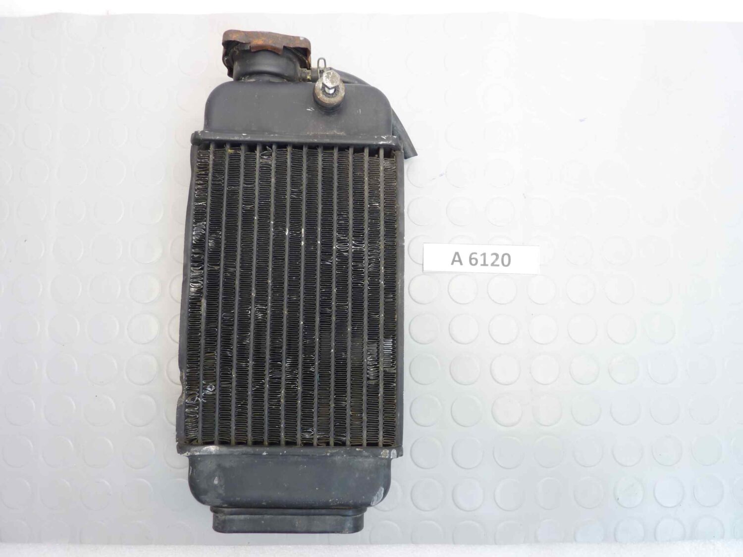 Radiatore Fantic Raider 250