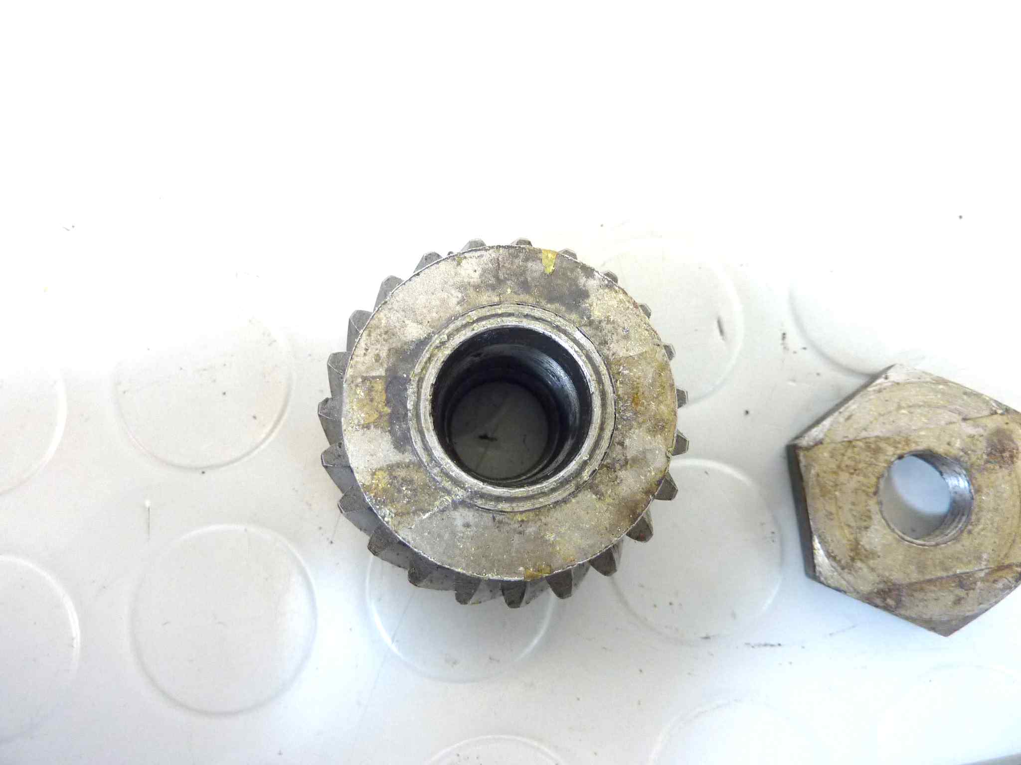 Ingranaggio albero motore Guzzi Cardellino 83 pignone elastico NUOVO fondo di magazzino, LEGGI DESCRIZIONE - immagine 3